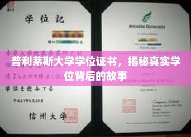 解码普利茅斯大学，学位证书背后的传奇故事