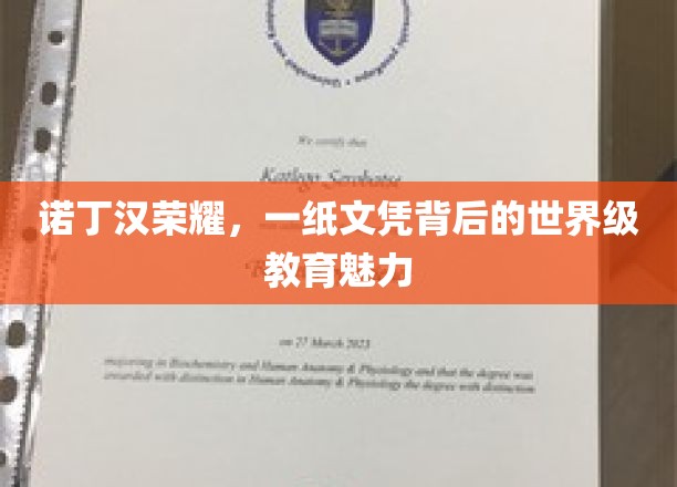诺丁汉之光，揭秘世界级学府背后的教育传奇