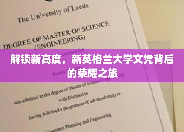 探寻荣耀足迹，新英格兰大学文凭的卓越征途