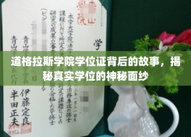 道格拉斯学院学位证背后的故事，揭秘真实学位的神秘面纱