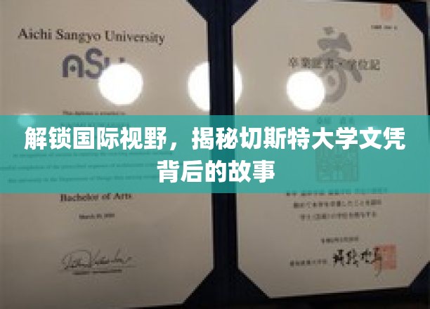 揭开切斯特大学学位的全球魅力面纱