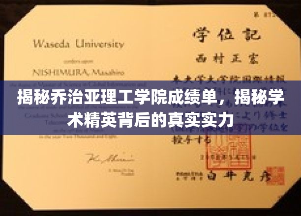 揭秘乔治亚理工学院成绩单，一窥学术精英的内在实力