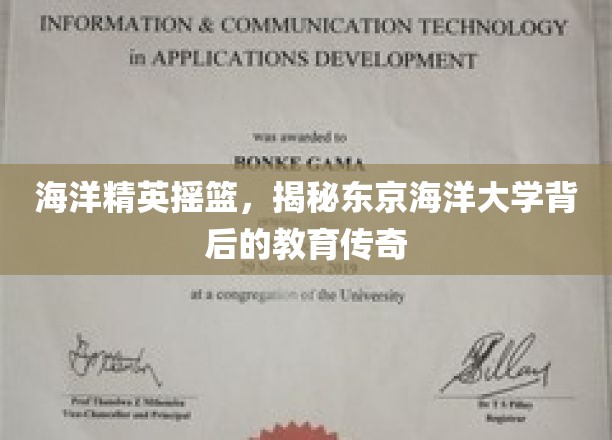 培养未来海浪领航者，东京海洋大学的教育奇迹探秘