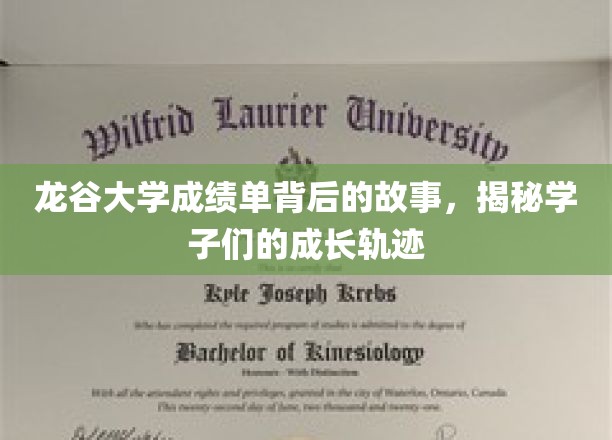 龙谷秘档，揭秘龙谷大学学子成长传奇背后的成绩单之谜