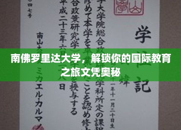 穿越南佛罗里达，揭秘国际教育文凭的璀璨之旅