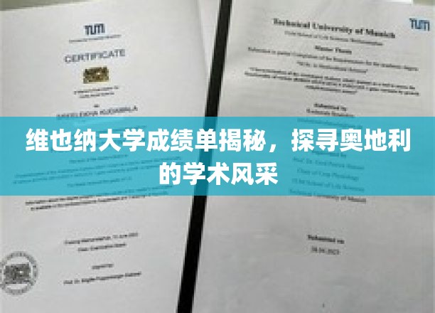 维也纳大学成绩单揭秘，探寻奥地利的学术风采