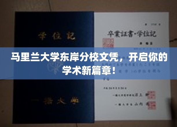 马里兰大学东岸分校文凭，成就你卓越学术启航之旅