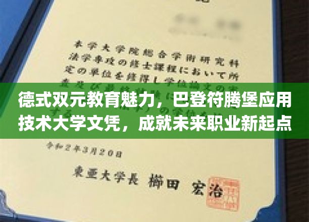 解锁职业新高度，德式双元教育赋能巴登符腾堡大学文凭学子未来梦想