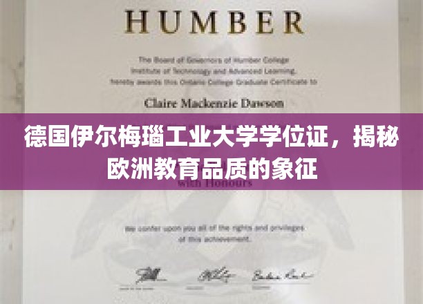 德国伊尔梅瑙工业大学学位证，欧洲教育品质的璀璨明珠