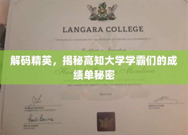 解码学霸秘籍，揭秘顶尖学府高知精英的卓越成绩之路
