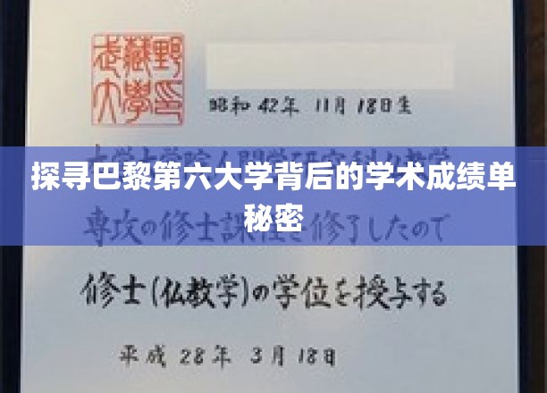 揭秘巴黎第六大学，学术成绩单背后的惊人真相