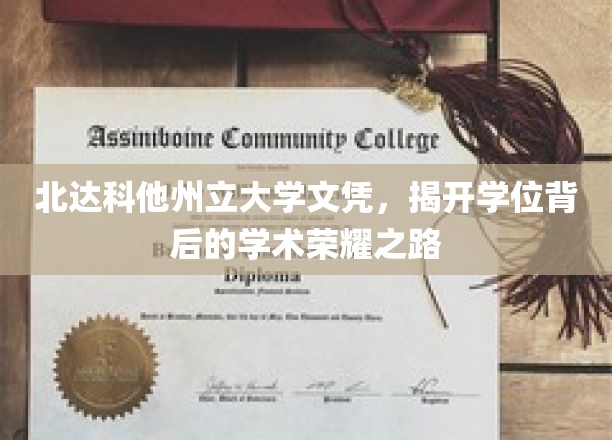 北达科他州立大学文凭，揭开学位背后的学术荣耀之路