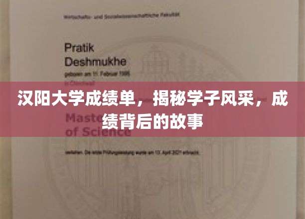 汉阳学子风采录，揭秘成绩背后的青春足迹