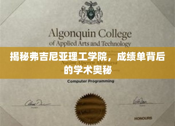 解码弗吉尼亚理工学院，成绩单深藏的学术秘境
