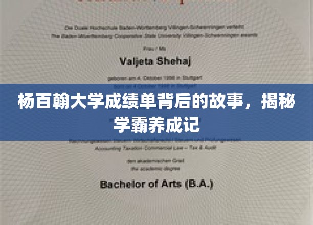 杨百翰学霸之路，揭开隐藏在成绩单背后的奋斗传奇