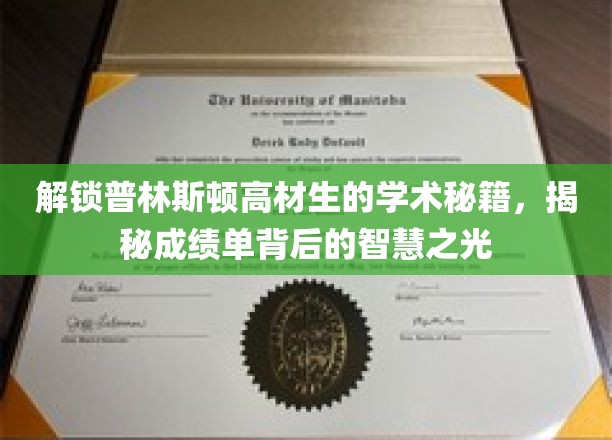 探索普林斯顿高材生的学术奥秘，一窥成绩单背后的智慧之光