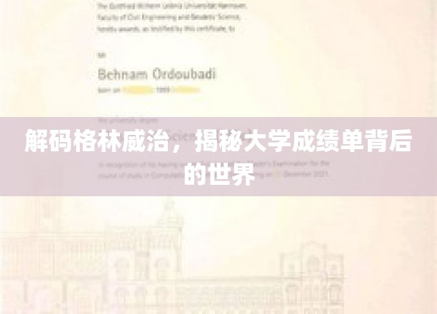 揭开成绩单迷雾，格林威治大学背后的学术奥秘