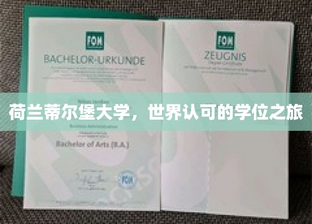 探索荷兰蒂尔堡大学，国际认可的学术殿堂之旅