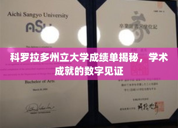 解码科罗拉多大学，揭开成绩单背后的学术辉煌