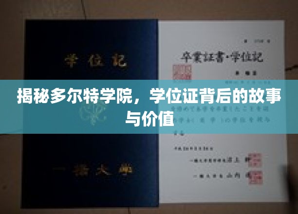 探寻多尔特学院学位证，背后的传奇与非凡价值
