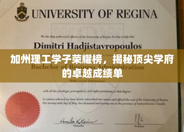 加州理工骄子录，探索顶尖学府的耀眼学术成就