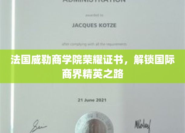 法国威勒商学院荣耀通行证，开启全球商业精英新篇章