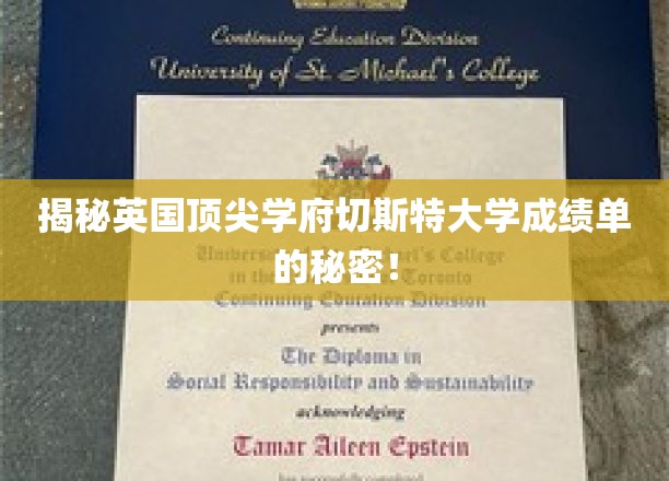 探寻切斯特大学卓越成绩背后的秘密，独家揭秘！
