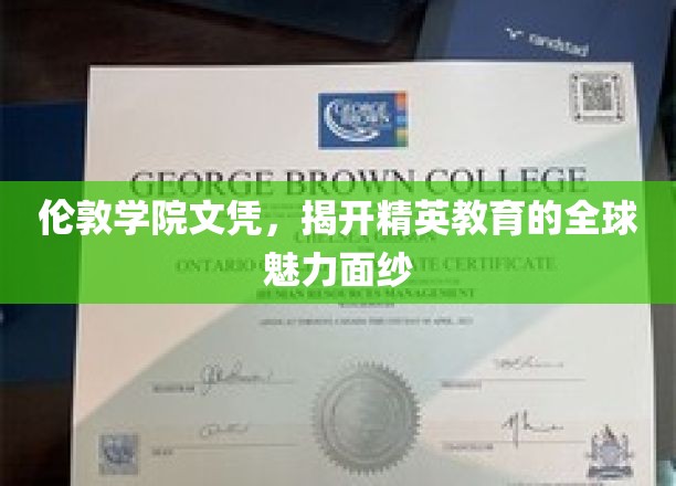 全球精英教育的魅力密码，揭秘伦敦学院文凭的独特风采