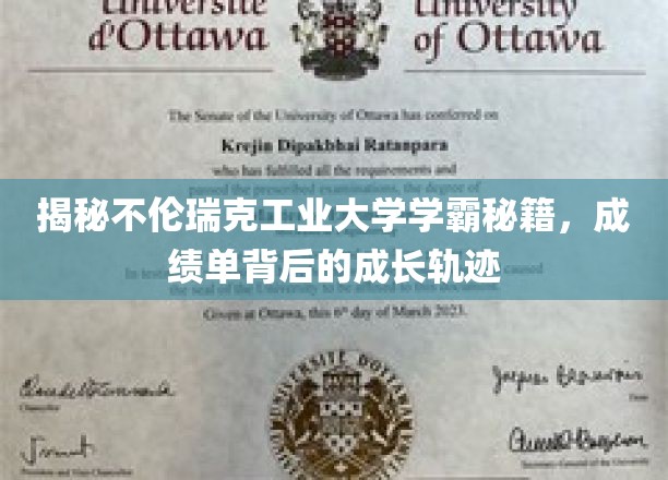 解锁不伦瑞克工业大学学霸之路，揭秘学霸背后的成长密码