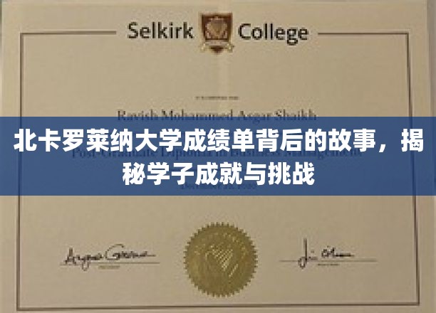 解码北卡罗莱纳大学成绩单，学子奋斗与成长的背后传奇