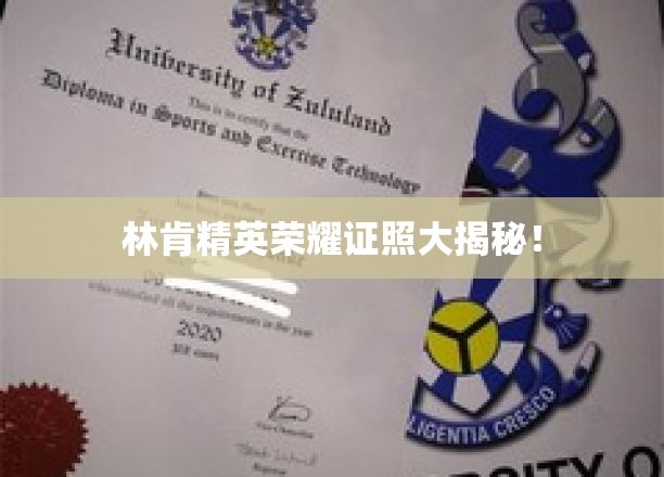 林肯精英荣耀认证，揭秘非凡实力背后的秘密