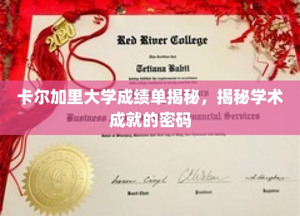 解码卡尔加里大学成绩单，揭秘学术精英的秘密钥匙