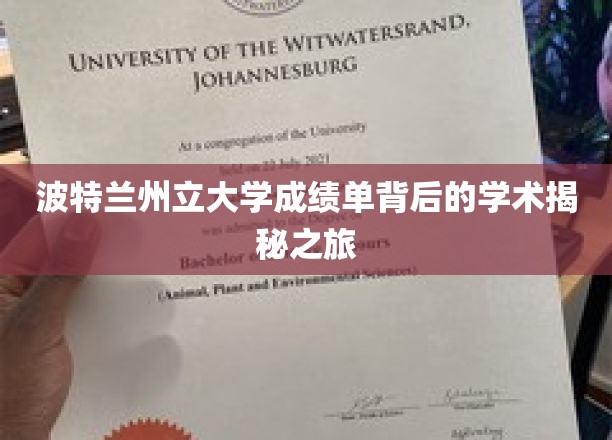 波特兰州立大学成绩单背后的学术奥秘之旅