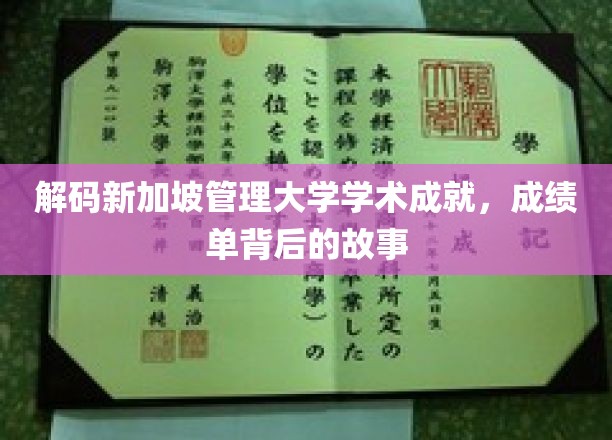 新加坡管理大学，揭开学术辉煌背后的传奇篇章