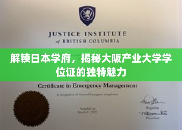 探索大阪产业大学，学位证背后的独特教育风采