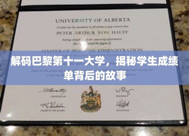巴黎十一大学揭秘，成绩单背后的独特魅力与背后故事