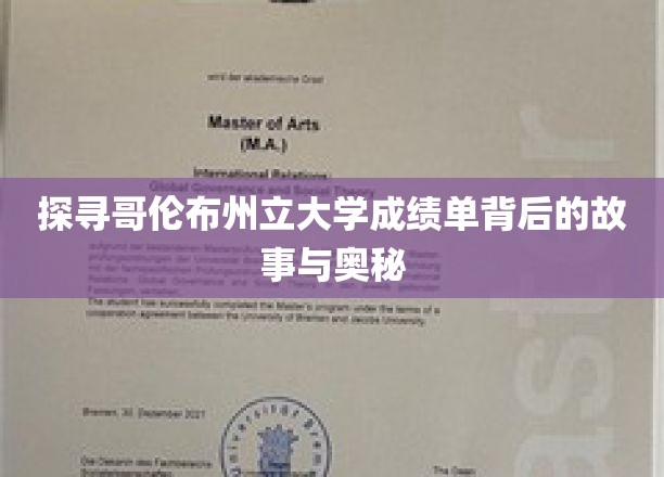 解码哥伦布州立大学成绩单的神秘面纱