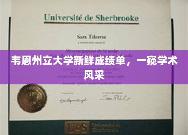 韦恩州立大学成绩亮点大放异彩，揭秘校园学术新风貌
