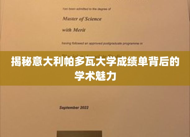 探寻帕多瓦大学成绩单背后的学术风采