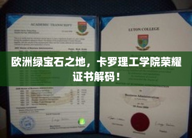 探寻卡罗理工学院绿色宝石证书背后的传奇魅力