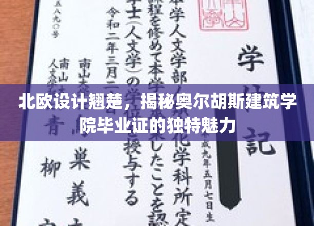 北欧设计精英的摇篮，一探奥尔胡斯建筑学院毕业证书的非凡魅力