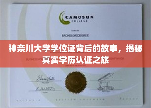 探寻神奈川大学学位证背后的传奇，揭秘学历认证的非凡之旅