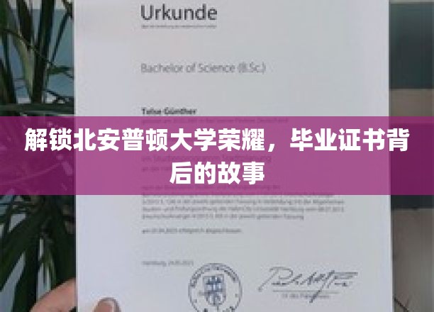 解锁北安普顿大学荣耀，毕业证书背后的故事