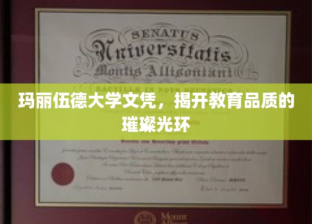 玛丽伍德大学荣耀证书，照亮高品质教育之路