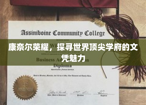 解码康奈尔荣耀，顶级学府文凭的非凡魅力