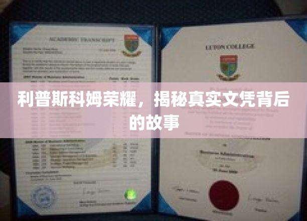 利普斯科姆荣耀之谜，探寻学历光环背后的真实面纱