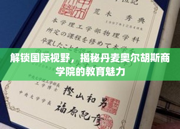 解锁国际视野，揭秘丹麦奥尔胡斯商学院的教育魅力