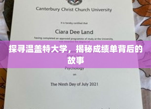 揭开温盖特大学成绩单的神秘面纱