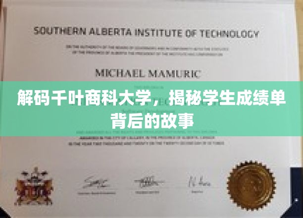 解码千叶商科大学，揭秘学生成绩单背后的故事