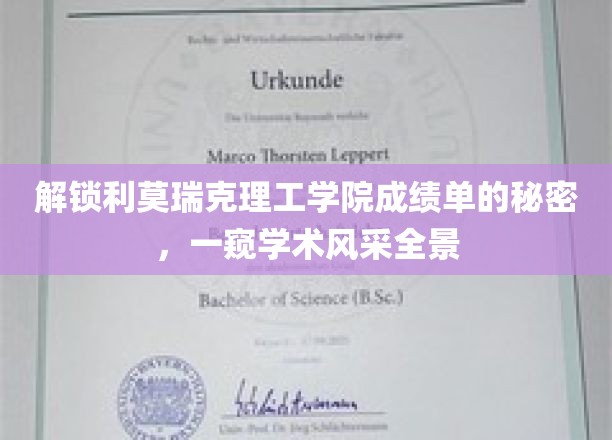 揭开利莫瑞克理工学院成绩单背后的学术魅力面纱